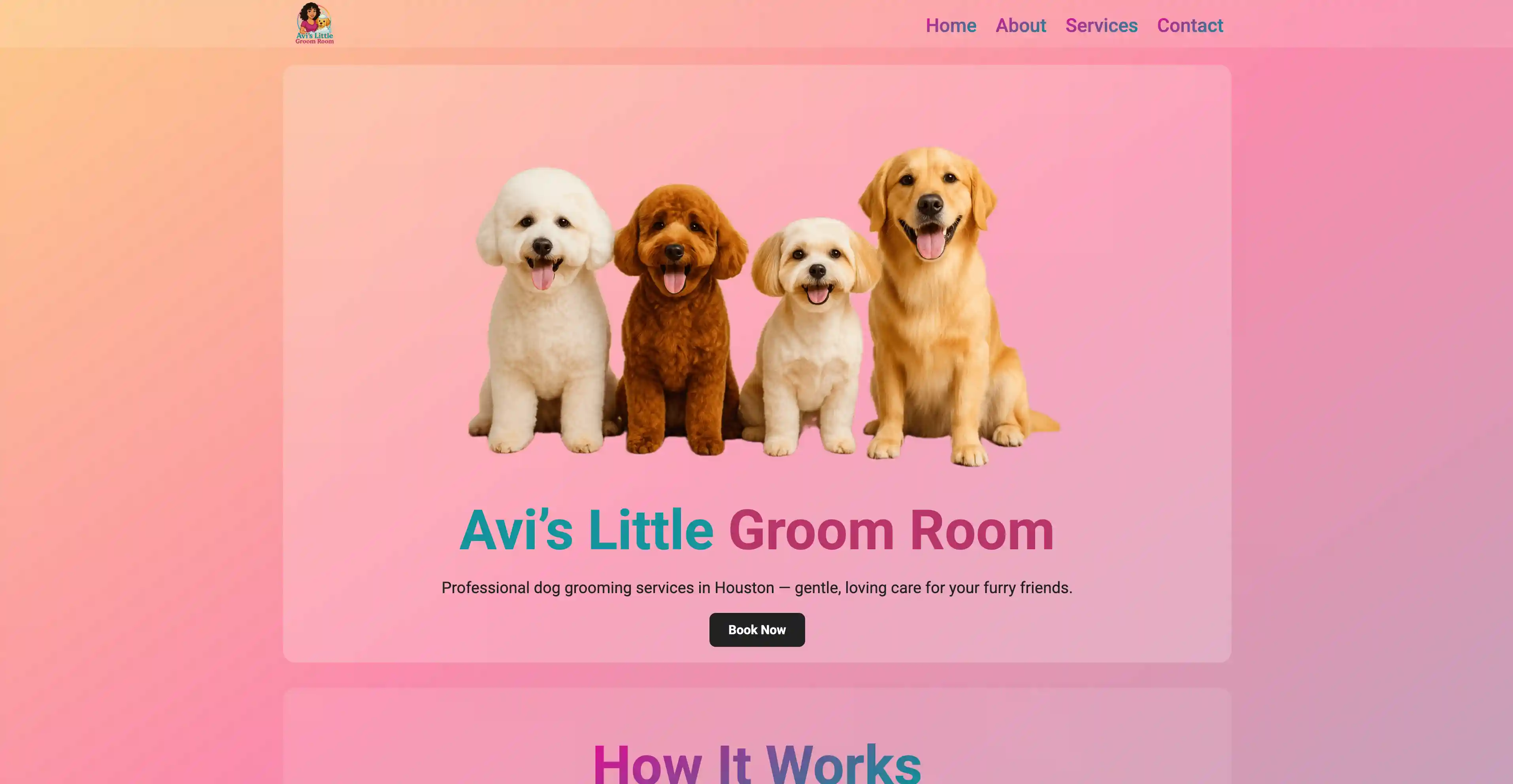 Avi’s Little Groom Room